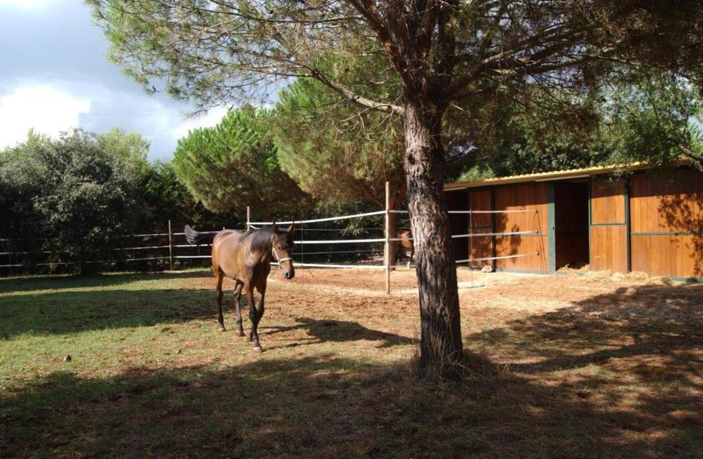 Tenuta Don Monaco - Agriturismo Santa Cesarea Terme Luaran gambar
